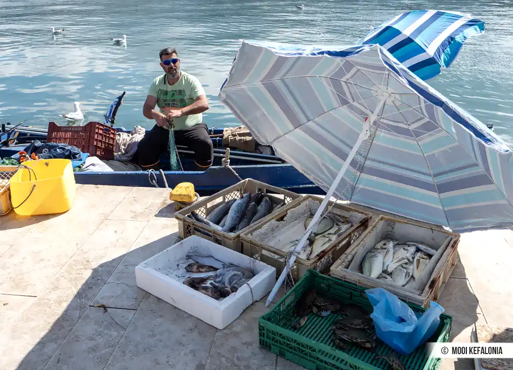 Visser op de kade bij Argostoli