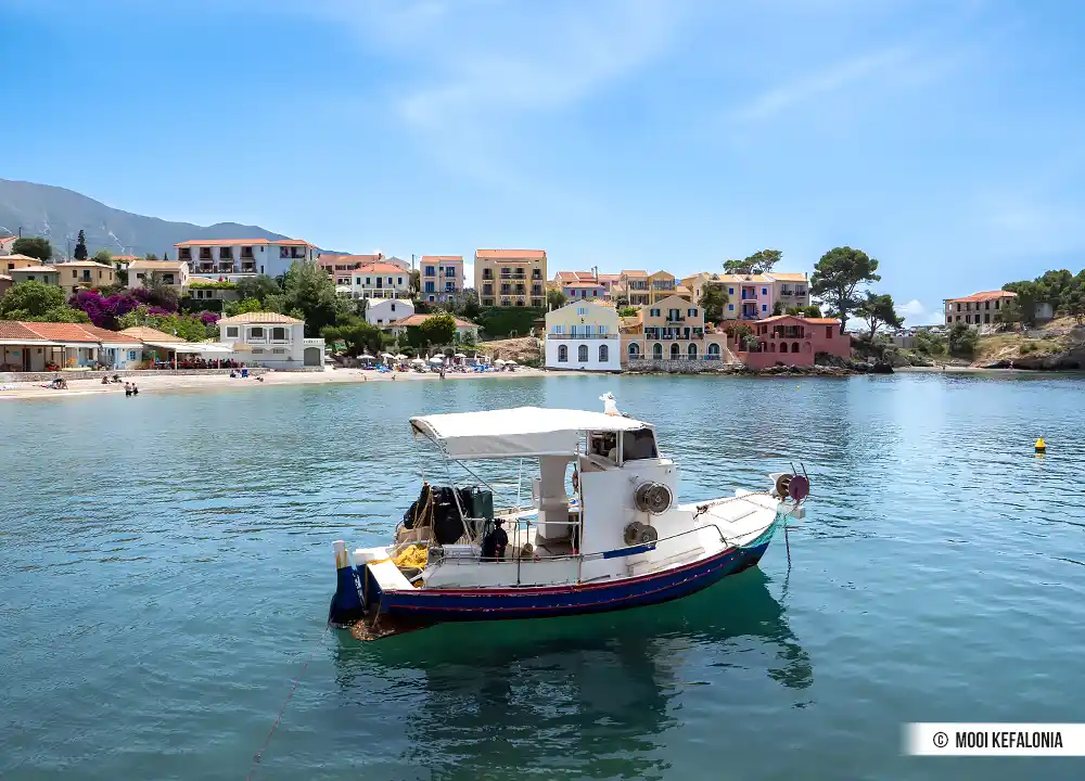 Assos